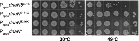 FIG. 7.