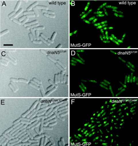 FIG. 8.