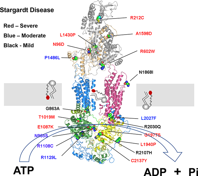 graphic file with name nihms-1646922-f0006.jpg