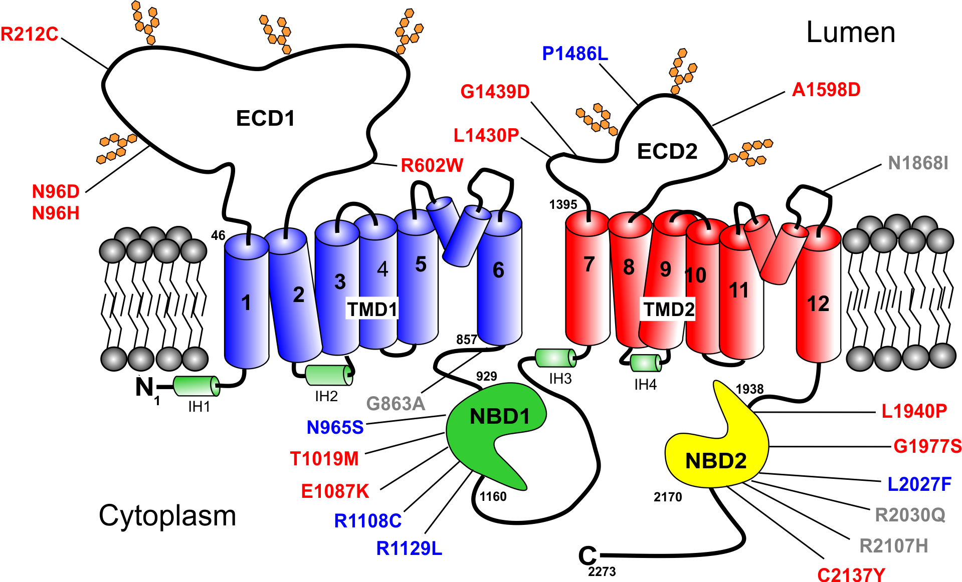 Figure 1: