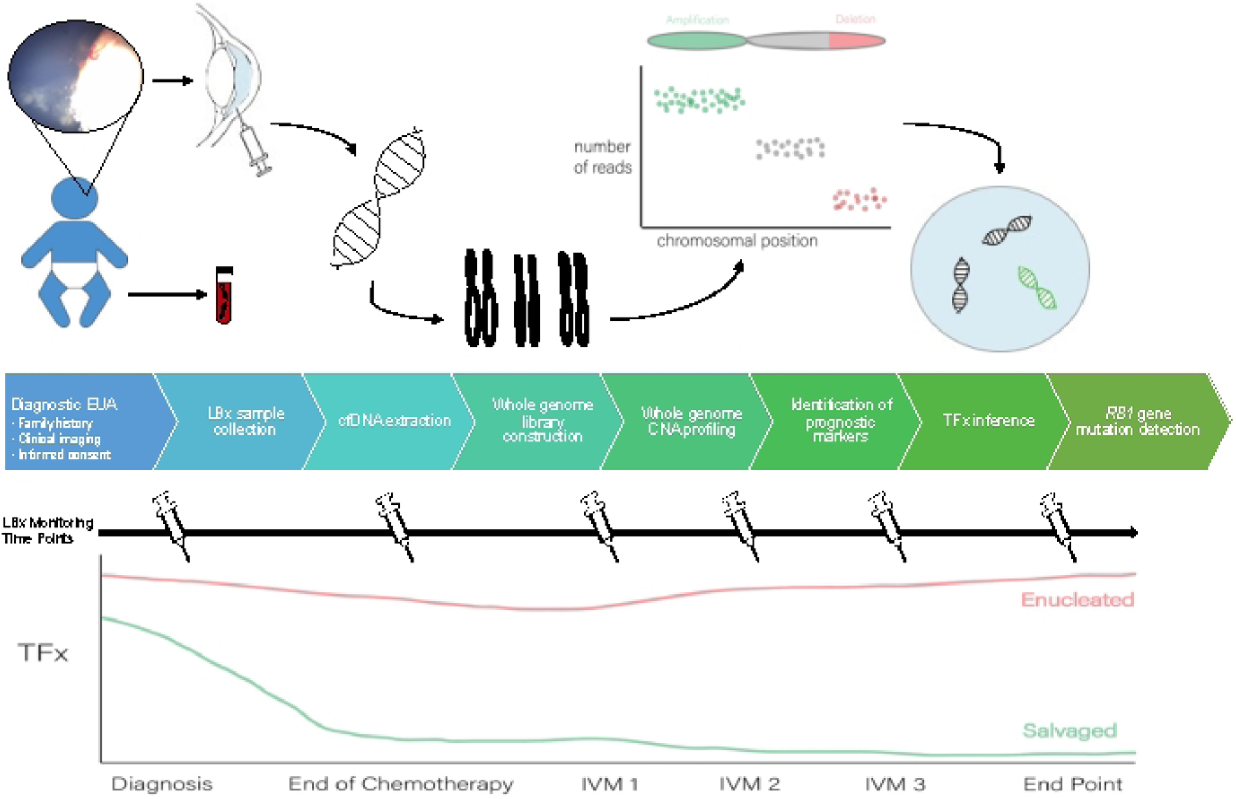 Figure 1: