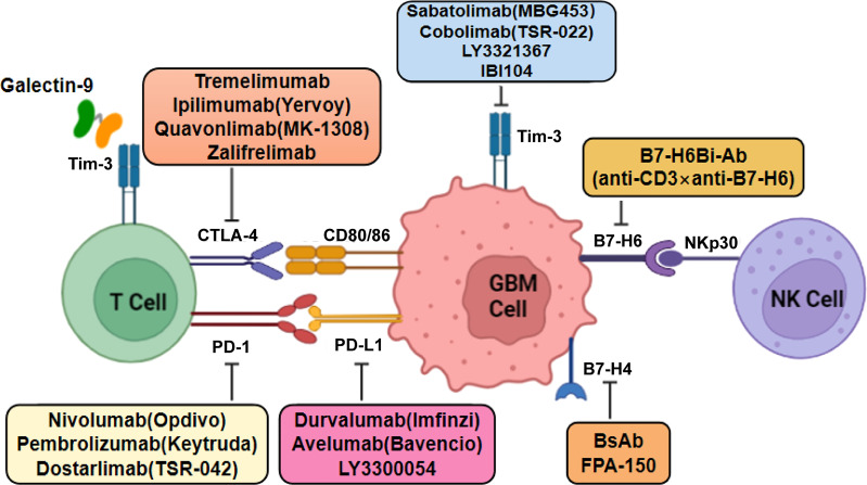 Figure 3