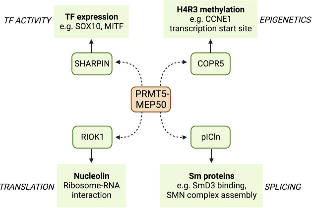 Figure 2