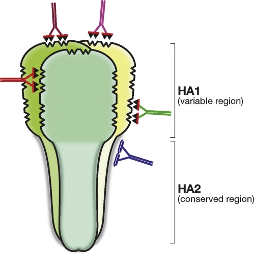 Figure 4.