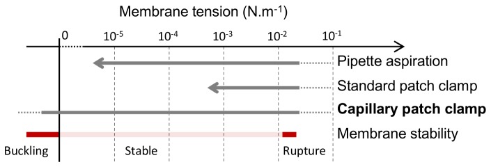 Figure 8