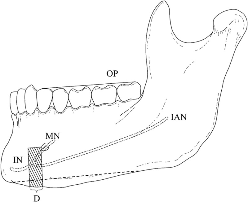 Fig. 1.