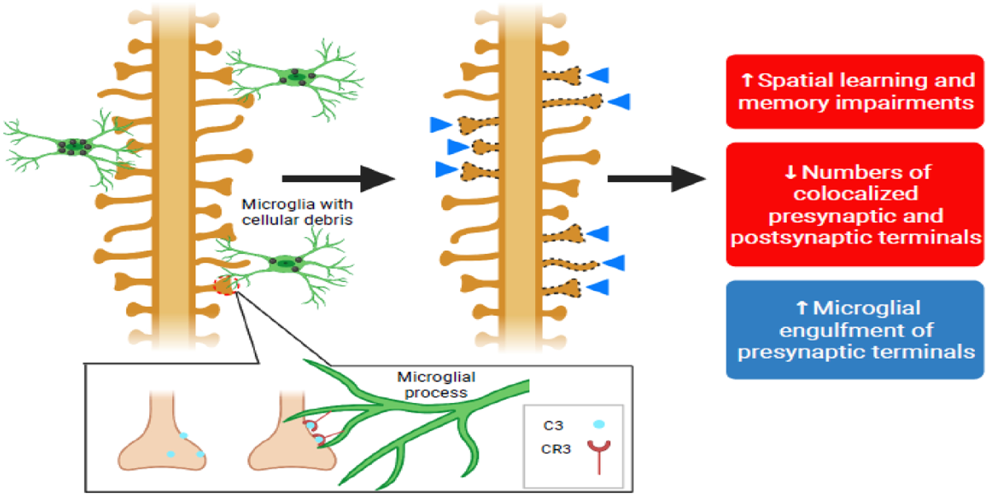 Figure 4.