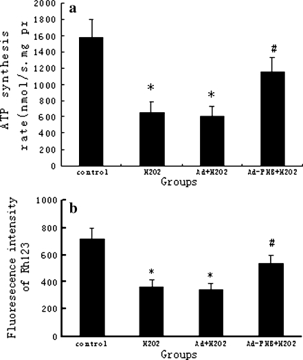 Fig. 4