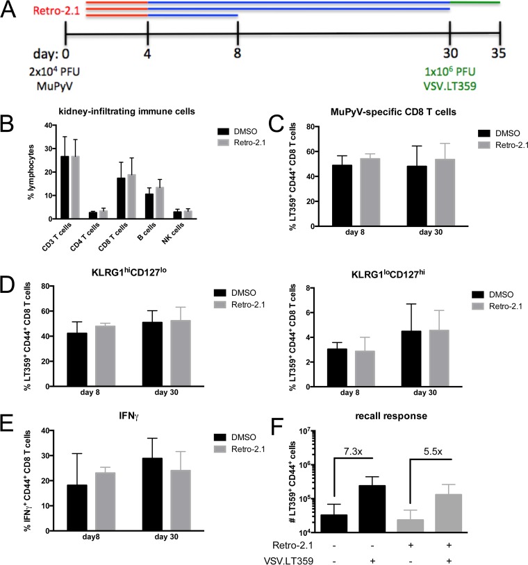 FIG 4 