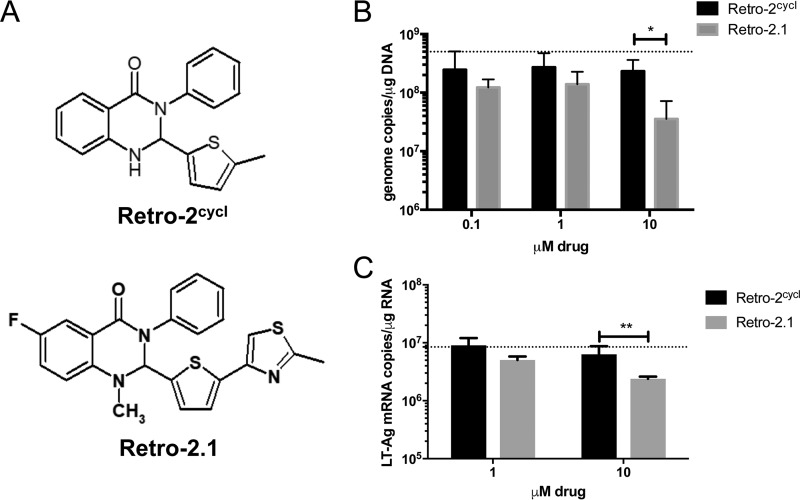 FIG 1 