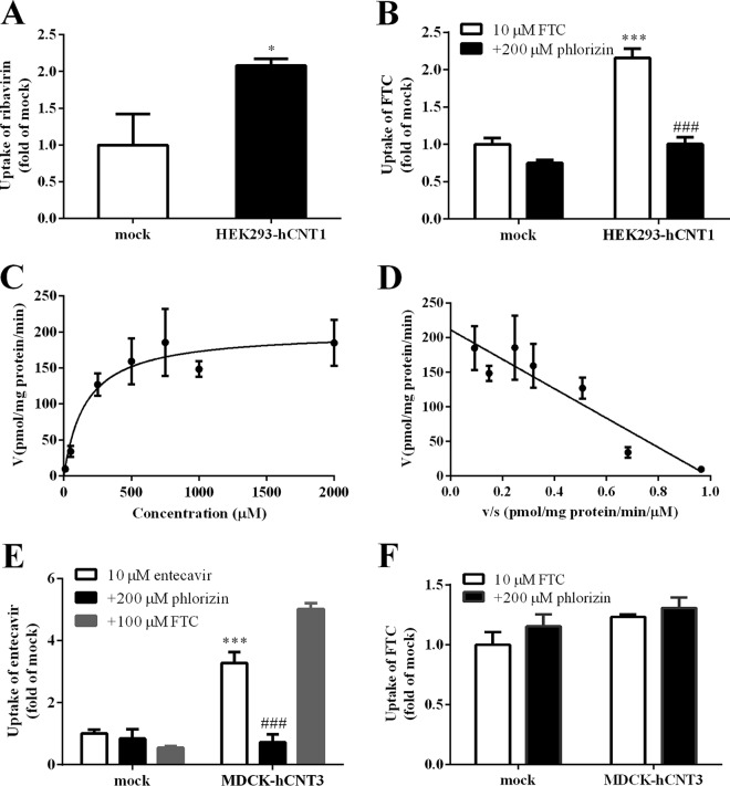 FIG 3