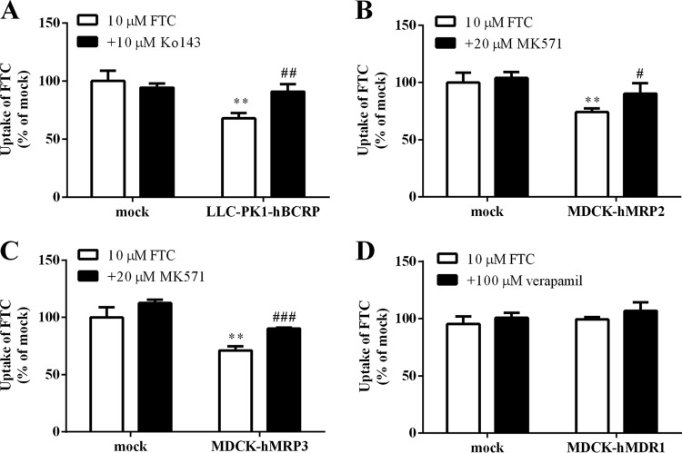 FIG 6