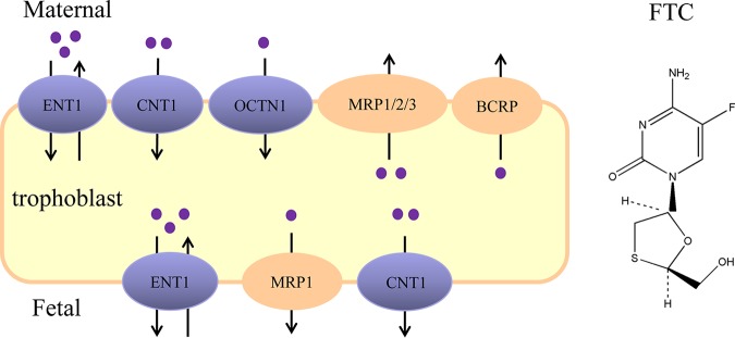 FIG 9