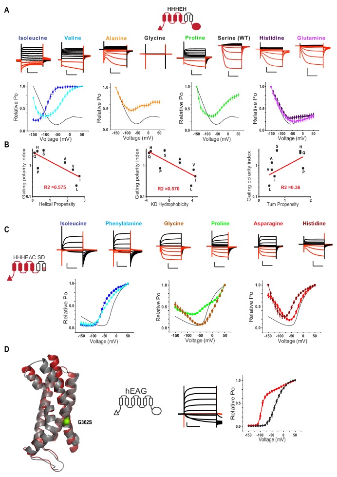 Figure 5—figure supplement 1.