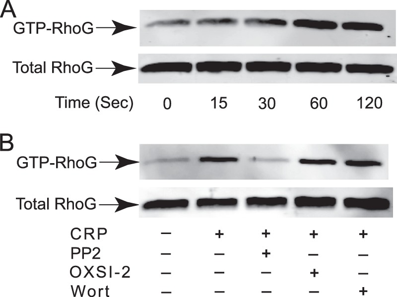 FIGURE 5.