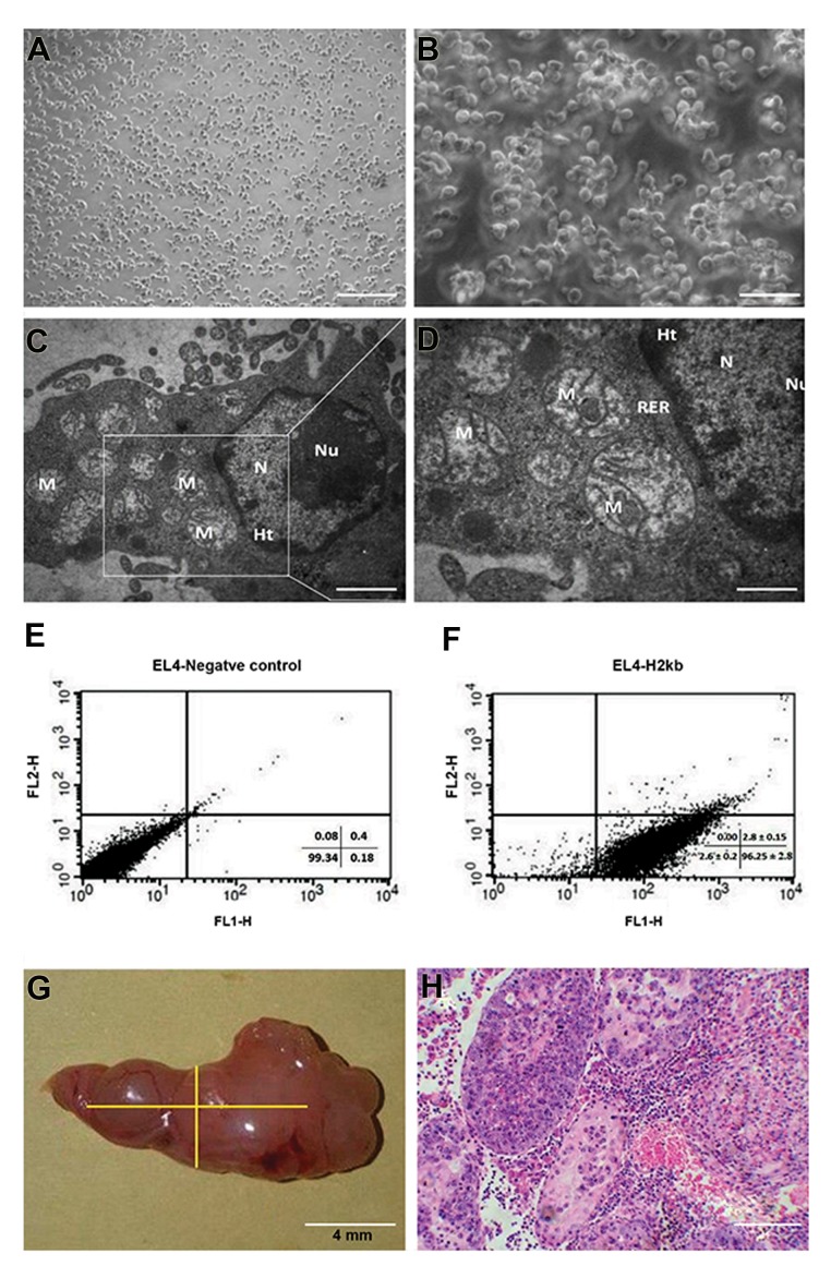 Fig.2