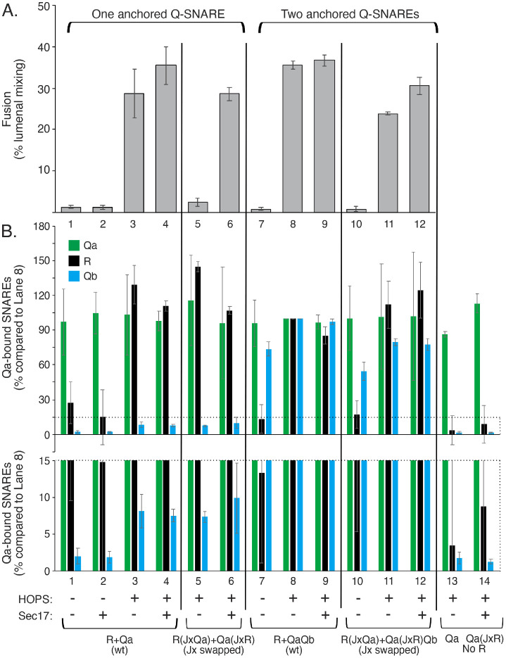 FIGURE 6: