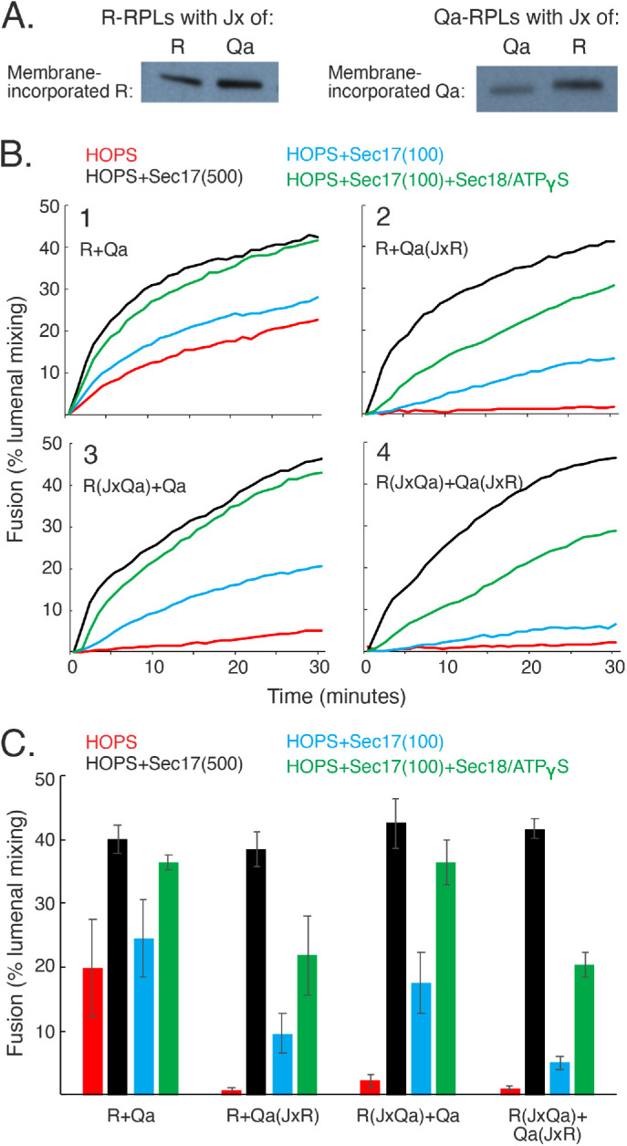 FIGURE 4: