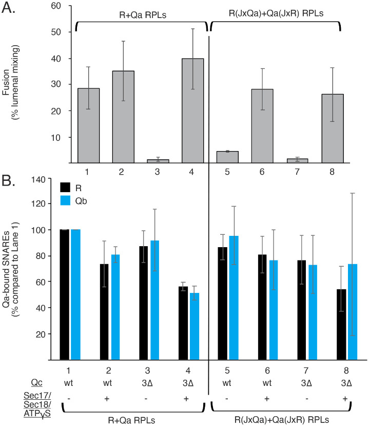 FIGURE 5: