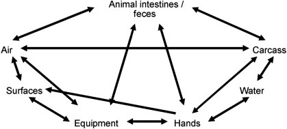 Figure 44.2