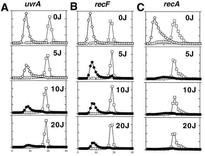 FIG. 5