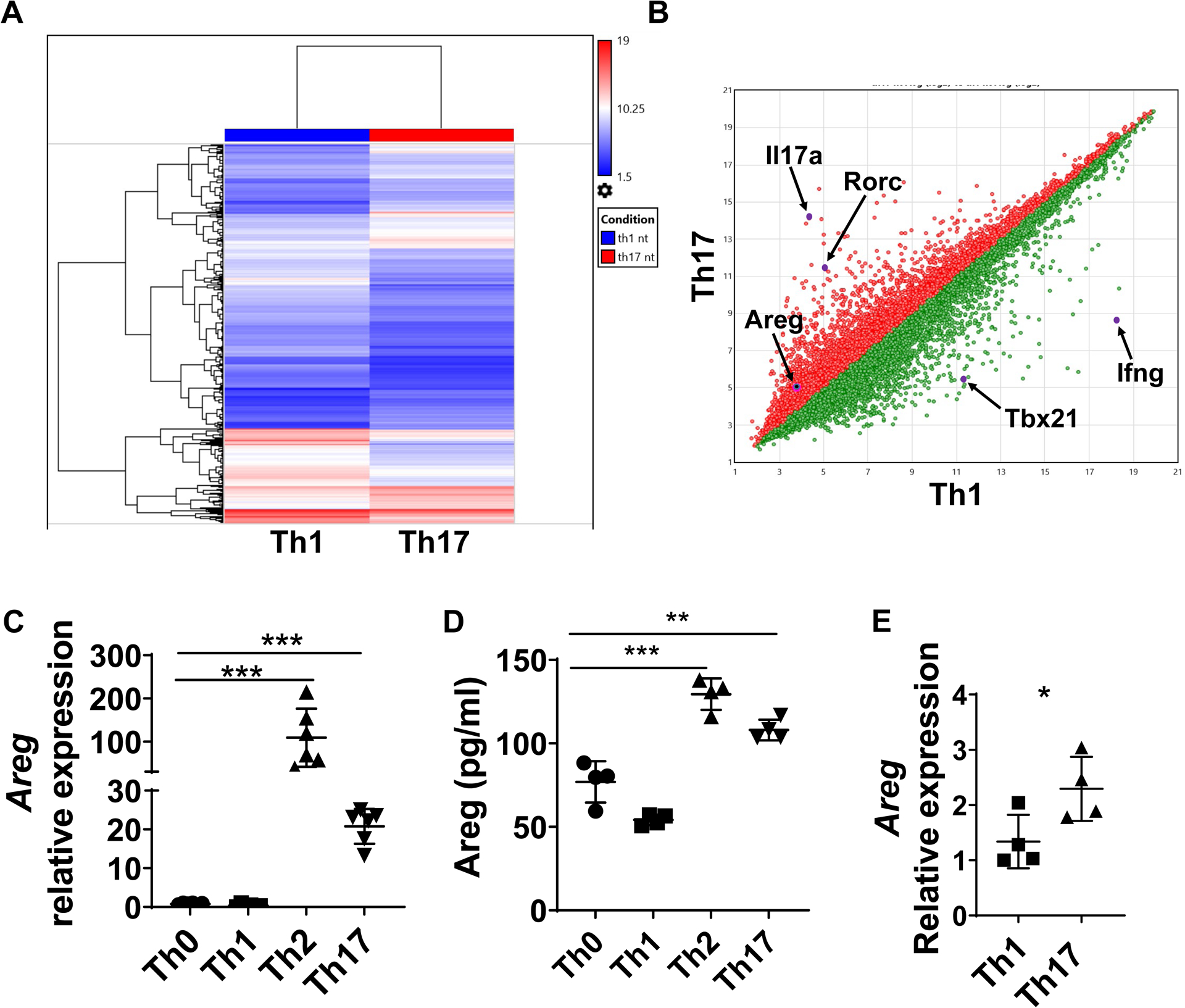 Th17 cell-derived amphiregulin promotes colitis-associated intestinal ...