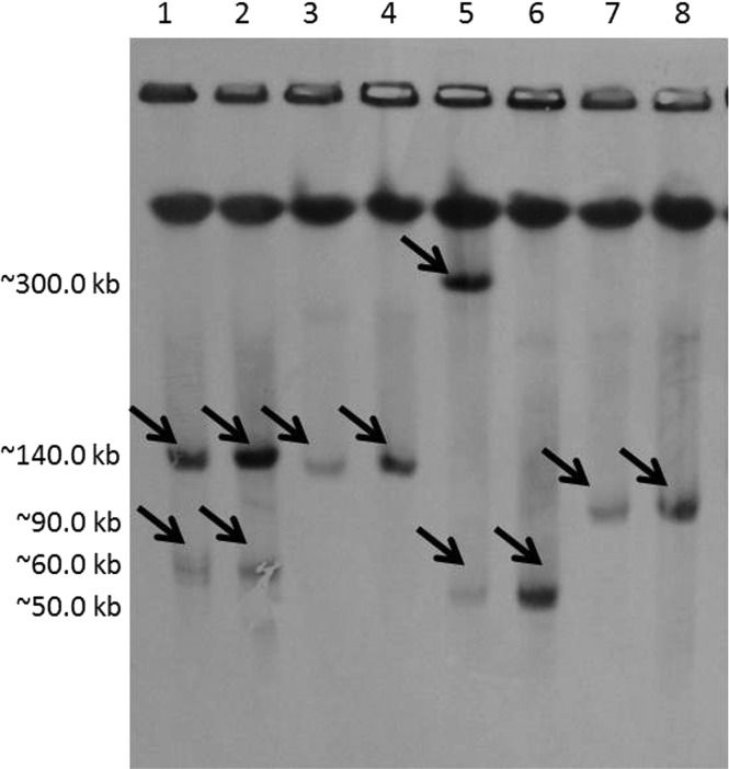 FIG 1