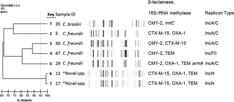 FIG 4