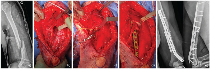 Fig. 6