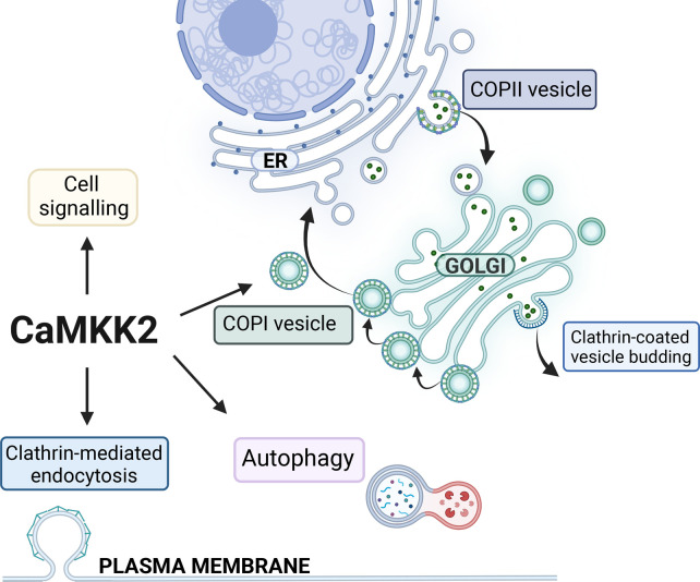 Figure 3.