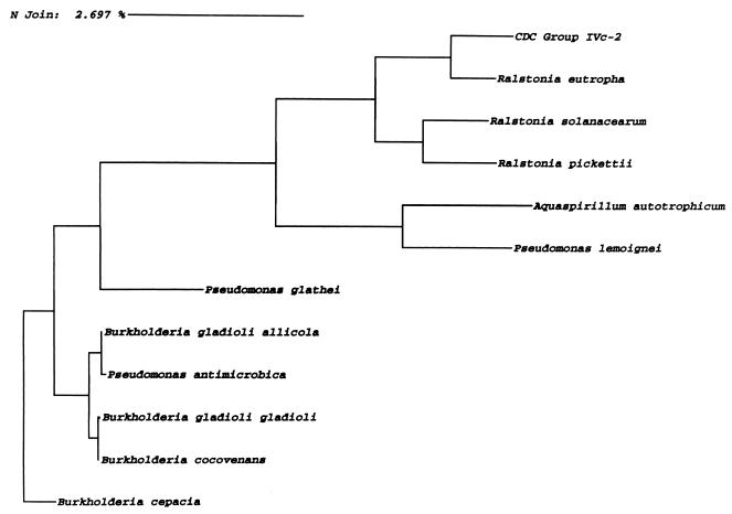 FIG. 1