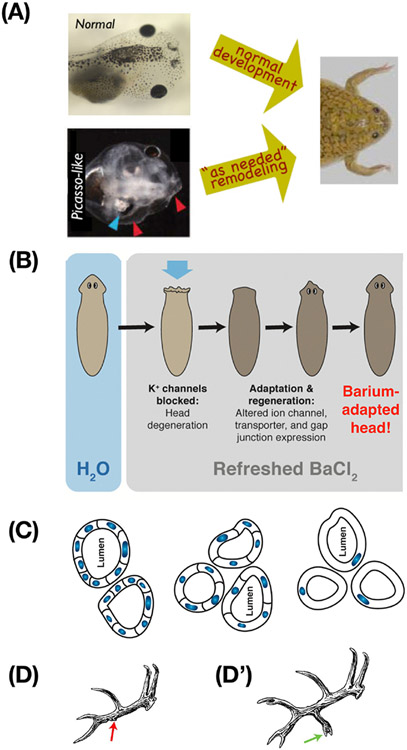 Figure 3: