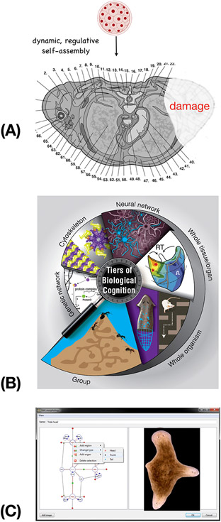 Figure 1: