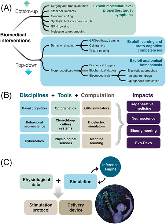 Figure 7: