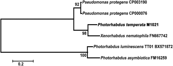 Figure 4