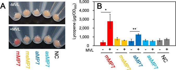 FIG 4