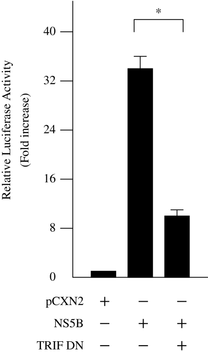 Fig. 6