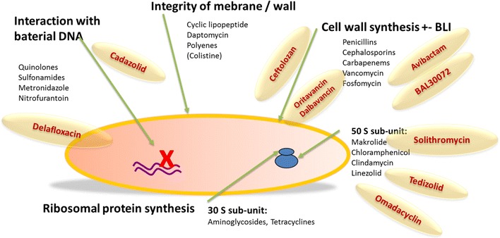 Fig. 1