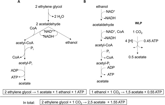 FIG 7