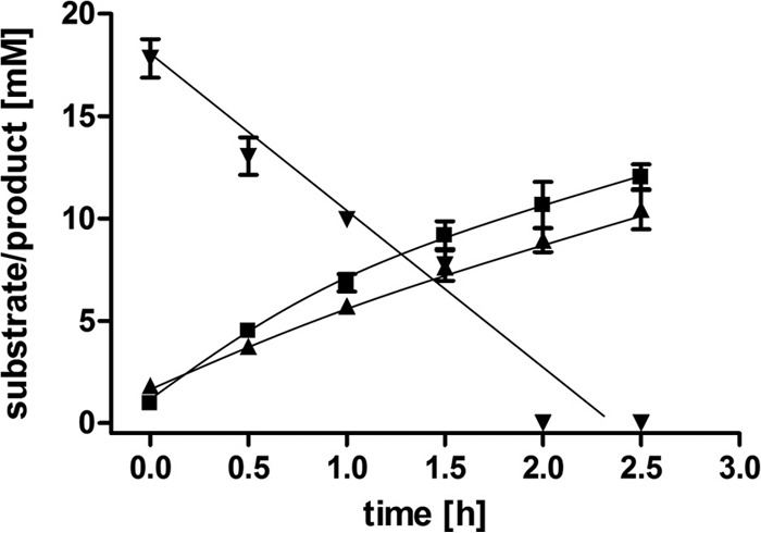 FIG 3