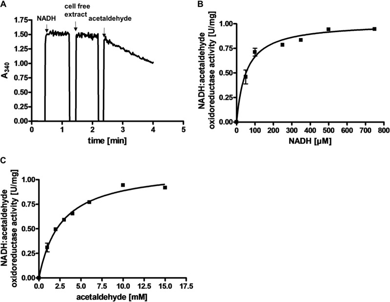 FIG 6