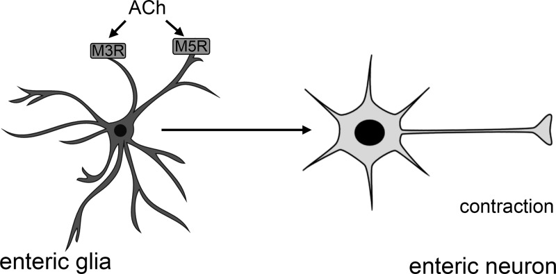 Fig. 9.