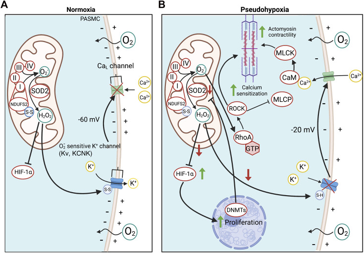 FIGURE 2