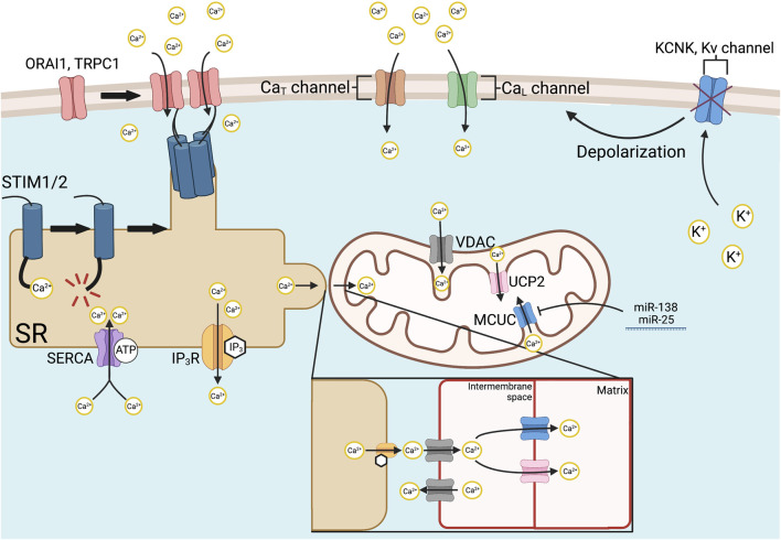 FIGURE 3