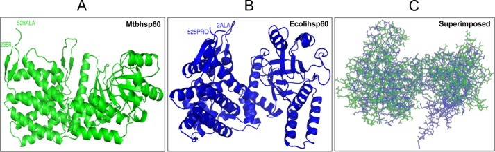 FIGURE 9.