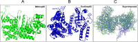 FIGURE 9.