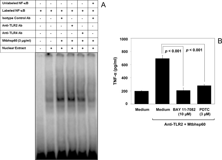 FIGURE 11.