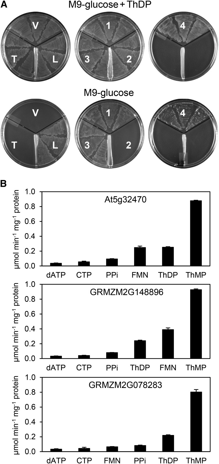 Figure 4.