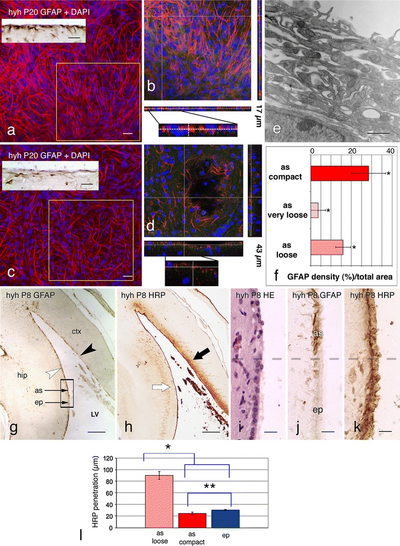 Fig. 6