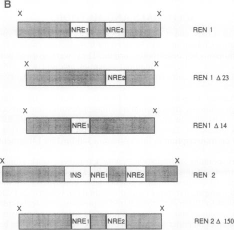 graphic file with name pnas01077-0102-a.jpg